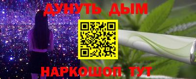 соль ск Новозыбков
