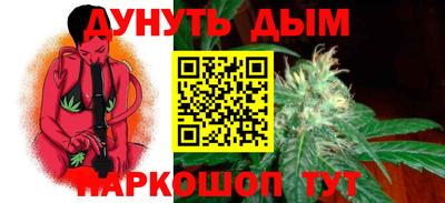 соль ск Новозыбков