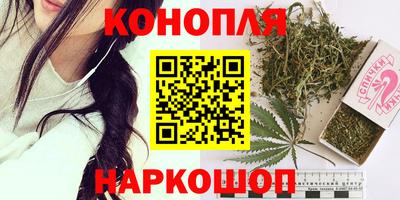 соль ск Новозыбков