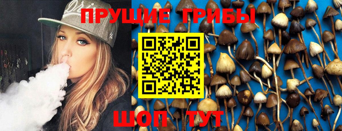 Галлюциногенные грибы MAGIC MUSHROOMS  Вход с VPN  Ярцево 